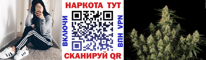 Альфа ПВП Видное