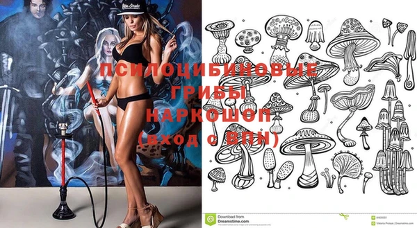 прущая мука Дегтярск