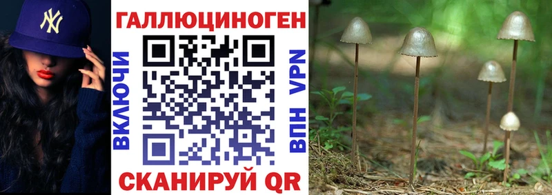 Галлюциногенные грибы прущие грибы  хочу   Видное 