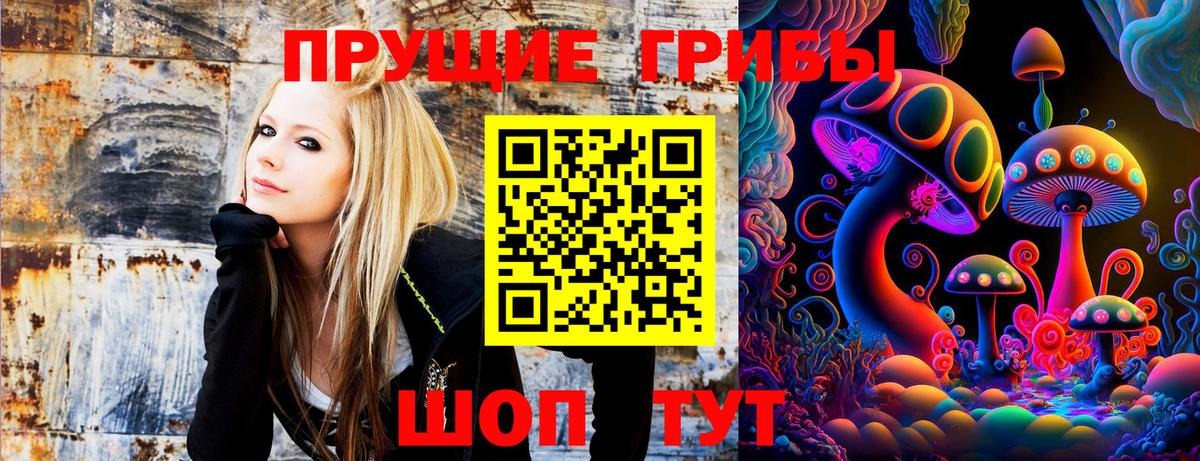Галлюциногенные грибы прущие грибы Видное