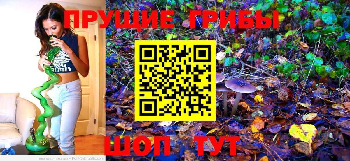 Псилоцибиновые грибы MAGIC MUSHROOMS  Вход с VPN  Видное  Галлюциногенные грибы GOLDEN TEACHER 